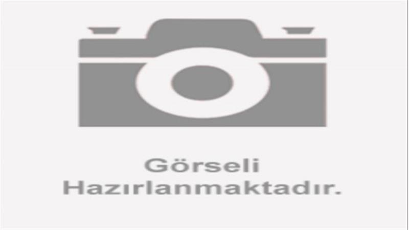 4X2 AYIRICI (SNARLER570)
