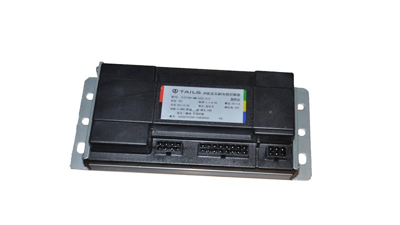 BEYİN (MYFORCE XS)