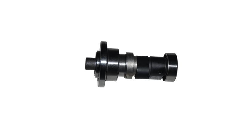 EKSANTRİK MİLİ (XVR250)
