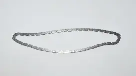 EKSANTRİK ZİNCİRİ (RS100)
