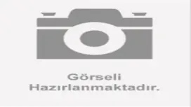 ARKA FREN MERKEZİ ÜST KISIM HİDROLİK HORTUMU (NEWLIGHT)