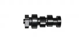 EKSANTRİK MİLİ (AROME125)
