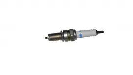 BUJİ (XVR250)