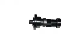 EKSANTRİK MİLİ (XVR250)
