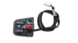 KOLTUK ve DEPO KAPAĞI KUMANDASI (RZ125)