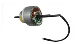 MOTOR İÇİ (ROBUSTO)